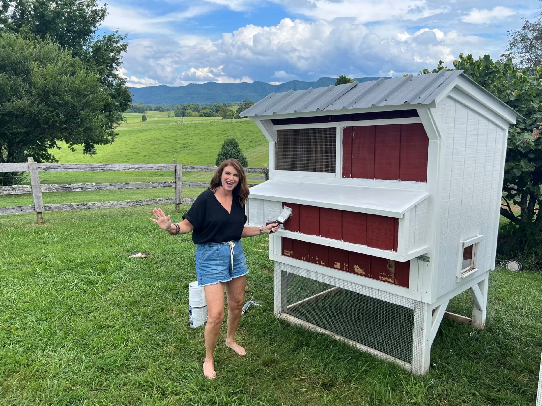 Our dream of a chicken coop part 1