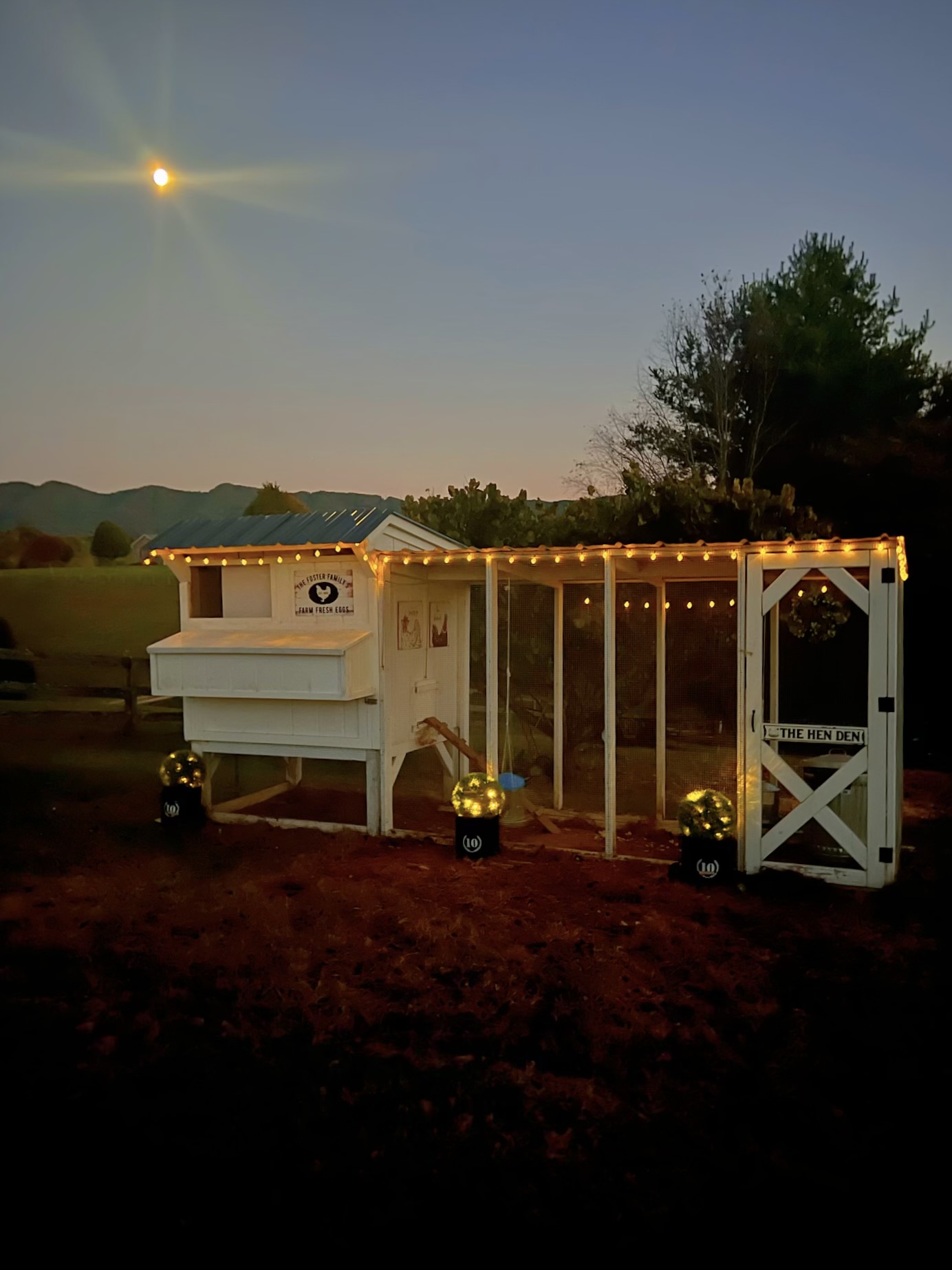 Chicken Coop Makeover Part 2