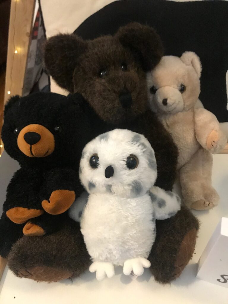Picture of wildlife animals, bears and and owl, as parting gifts for the party guests.