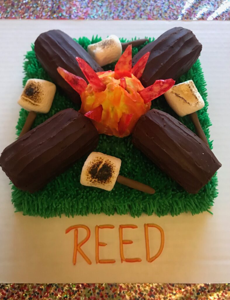 Birthday cake decorated as a camp fire for the camp themed party.